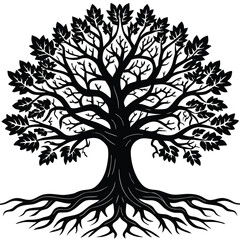 Obraz premium Detailed illustration of a mature oak tree with its extensive root system exposed presented in a classic black and white style