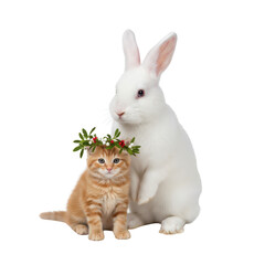 Obraz premium Adorable Kitten with Mistletoe Wreath and White Rabbit Isolated on White