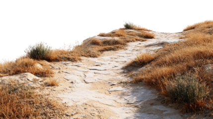 Isolated arid landscape topography featuring rocky terrain and sparse vegetation on transparent