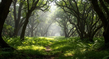 Fototapeta premium Explore the enchanting woodland path a scenic nature trail through lush green forest landscape beauty