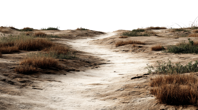 Sandy path winds through a desolate landscape under a clean sky, creating a scenic view of nature