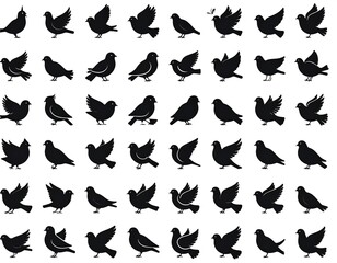 Various bird silhouettes (1)