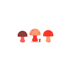 vector illustration of mushrooms