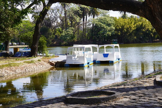 Peaceful view of pedal boats docked on a calm lake surrounded by lush green trees in a quiet park. A relaxing outdoor scene perfect for leisure, recreation, and nature tourism concepts