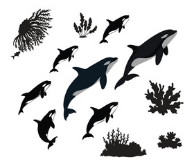 Collection of orca whales and marine life silhouettes in dynamic poses underwater ocean scene