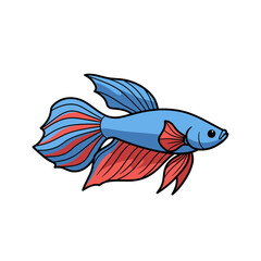 Vibrant Blue and Red Betta Fish in Profile View