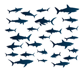 Collection of silhouetted sharks in various poses and sizes swimming in a deep blue ocean environment