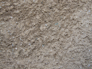 Close-up of a rough, textured wall surface with varying shades of brown and beige.