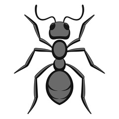 ant on white background