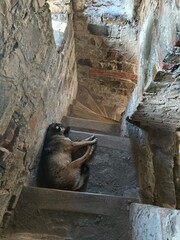 ananuri fortress in georgia by Tbilisi