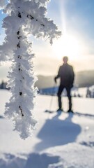 Frosted branch with person snowshoeing on sunny winter day