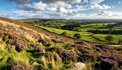 Panoramic countryside view (1)