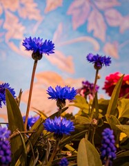 Vibrant blue flowers against a painted backdrop