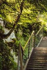 Fototapeta premium Scenic view of a metal bridge spanning a green mountain canyon. Rocky cliffs, lush nature, and bright sunlight create a dramatic and picturesque landscape.