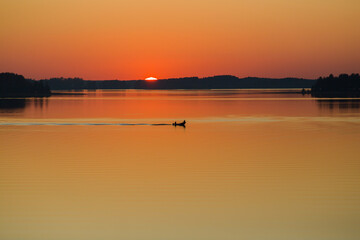 A small silhouette of a boat with people against the backdrop of an evening sunset.
