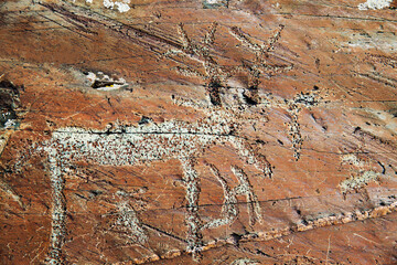 Russia. Altai Mountains. Ancient rock painting of animals.