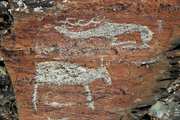 Russia. Altai Mountains. Ancient rock painting of a Scythian deer.