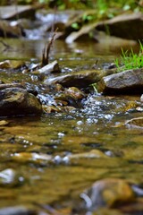 stone stream