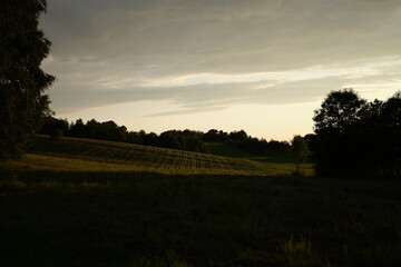 Fototapeta premium Scenic view of rolling hills and fields during sunset with a dramatic sky in the background