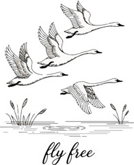 Flock of Flying Birds Vector Illustration - Migration, Freedom, and Unity Silhouettes Set