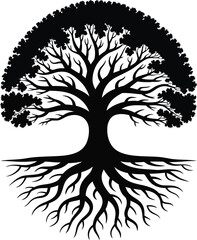 A detailed black and white illustration of a large mature tree