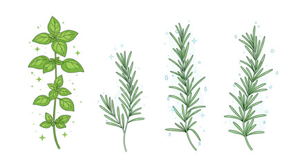A collection of fresh green herbs including basil and rosemary sprigs.