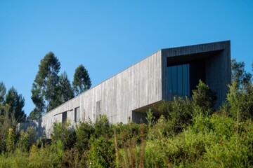 Obraz premium A contemporary wooden house is beautifully situated among lush green trees, set in a tranquil landscape beneath a bright, clear blue sky during the day