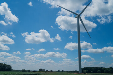Fototapeta premium A wind turbine stands tall in a green field under a bright blue sky dotted with fluffy white clouds, surrounded by distant trees on the horizon in a serene rural landscape.