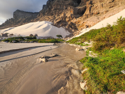 Detailed sand textures on a coastal beach with dunes, cliffs, and vegetation under soft evening light, Socotra, Yemen