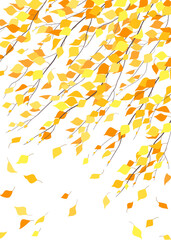 Autumn Background with Birch Branches in Wind.