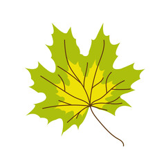Isolated illustration of a vibrant green and yellow maple leaf on black background.