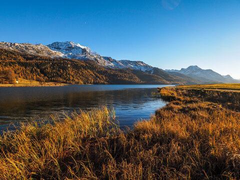Autumn landscape of Lake Silvaplana in Engadin with copy space