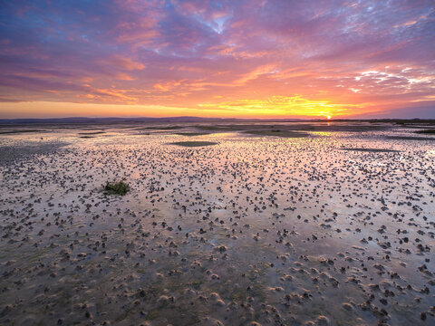 Sunset reflections at Holy Island at low tide Tidal flats reflecting dramatic sunset sky with vibrant clouds and wet sand at low tide