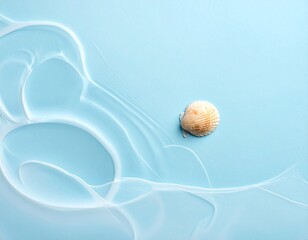 One seashell centered on pastel blue background, empty space
