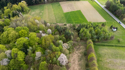 Aerial view of lush green forest and farmland showcasing a harmonious blend of nature. Scenic...