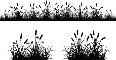 Cattail and reeds silhouette. Set of black cattail, wild grass, and reed silhouettes, isolated on white background, vector illustration