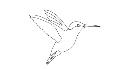 Fototapeta premium Title: Simple Hummingbird Outline 