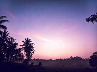 Beautiful silhouette forest at countryside in blue skies morning sunrise