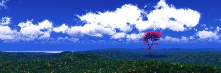 Panorama of a meadow with flowers, flowers and grass, grassy hill, blue sky with clouds and a meadow with flowers, 3D rendering