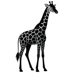Fototapeta premium Elegant Black and White Giraffe Silhouette: Serene African Wildlife Vector Illustration