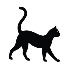 black cat vector illustration