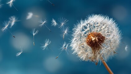 Delicate dandelion seeds gracefully drift on a gentle breeze against a vivid blue sky, symbolizing new beginnings and the ephemeral beauty of nature