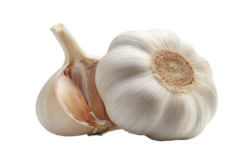 Fresh whole and clove garlic bulbs with open section, cut out