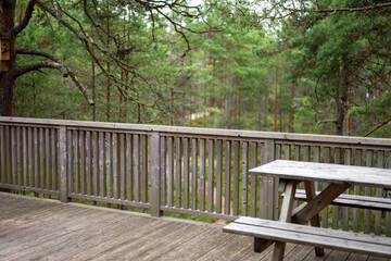 Fototapeta premium Wooden deck overlooks lush forest with tall trees in a natural setting during a cloudy day
