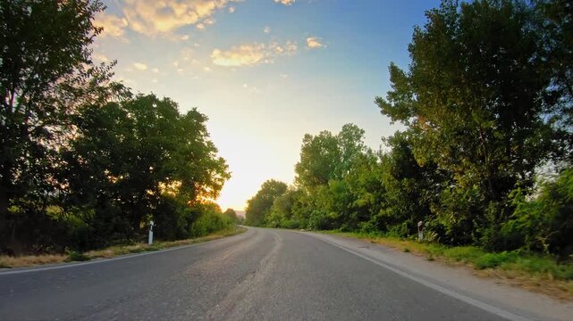 Countryside, gleaming sun, trees by the local road, POV car drive