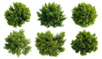Obraz premium Six overhead views of lush green trees