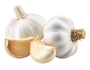Obraz premium Fresh garlic bulbs and cloves isolated png transparent background