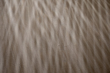 Light reflections on sandy textured surface
