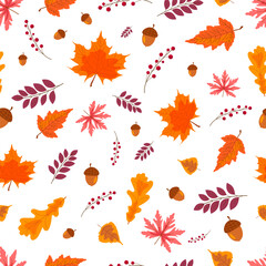 Seamless autumn pattern with leaves, acorns, berries. 