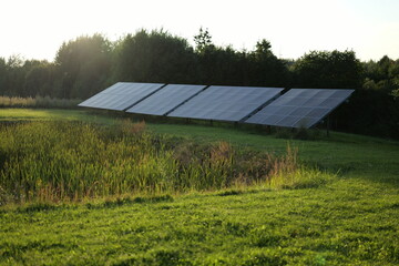 Obraz premium Solar panels capture sunlight in a green field near trees during the golden hour of evening
